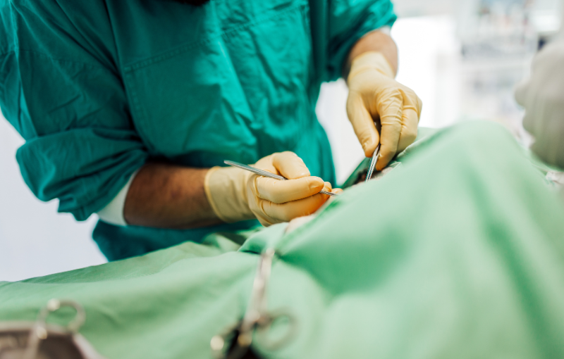 servicios veterinarios cirugía
