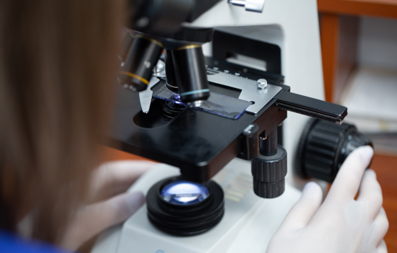 servicios veterinarios laboratorio