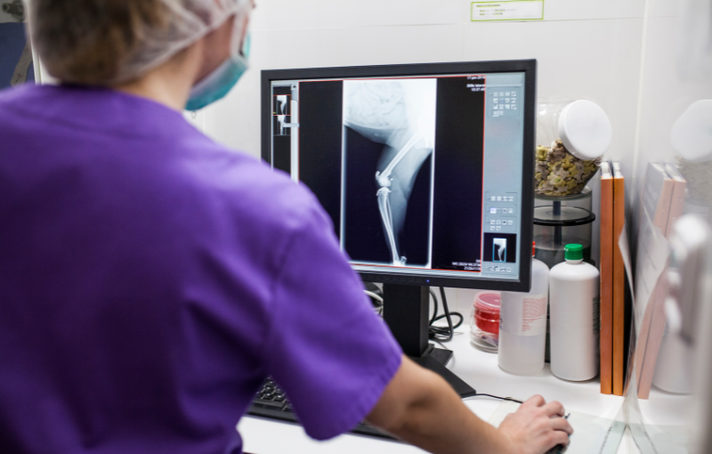 servicios veterinarios diagnóstico por imagen