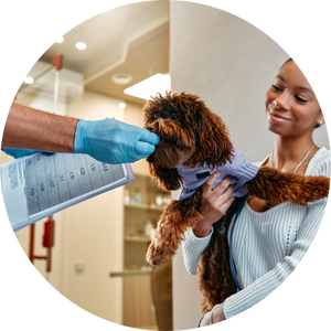equipo veterinario valores clínica (confianza)
